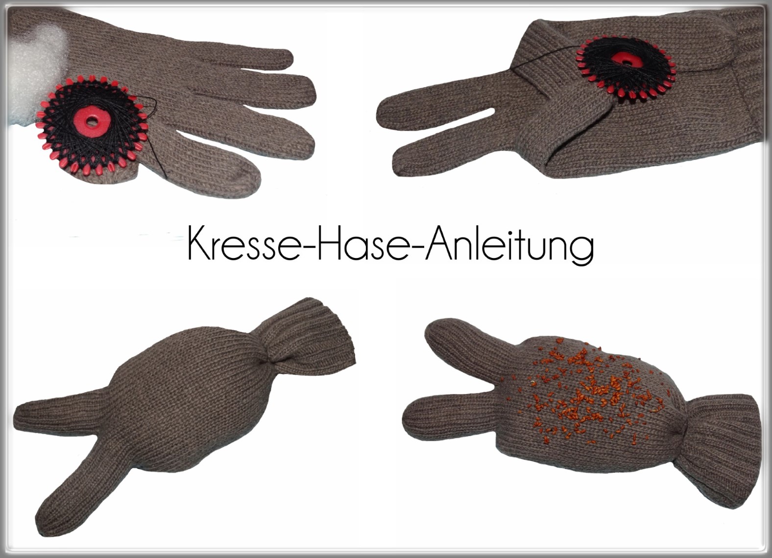 DIY Anleitung Kresse Hase Bastelanleitung Anleitung