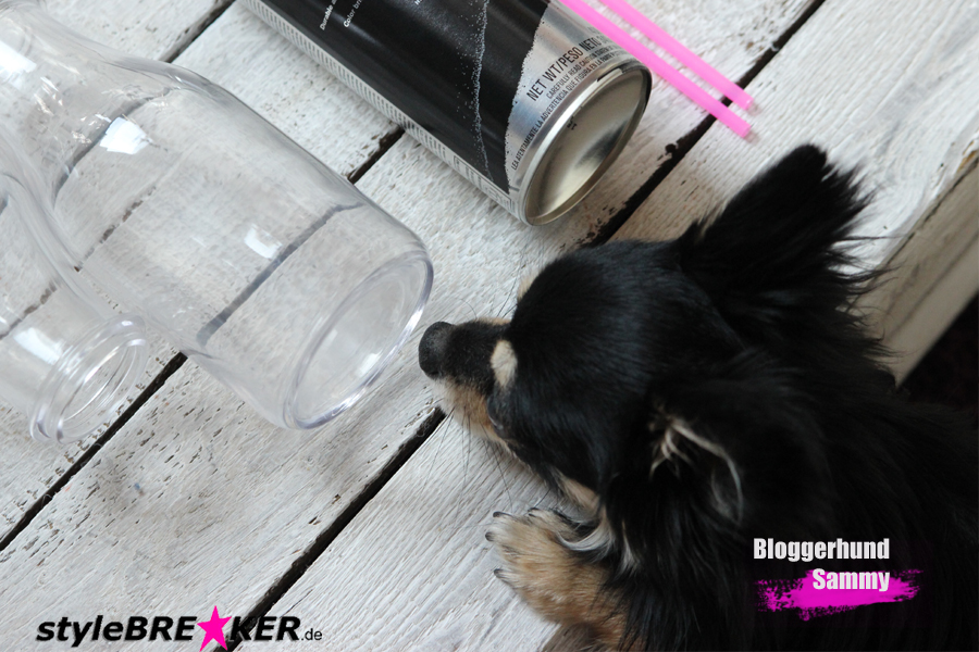 DIY Tischdekoration Utensilien Sammy